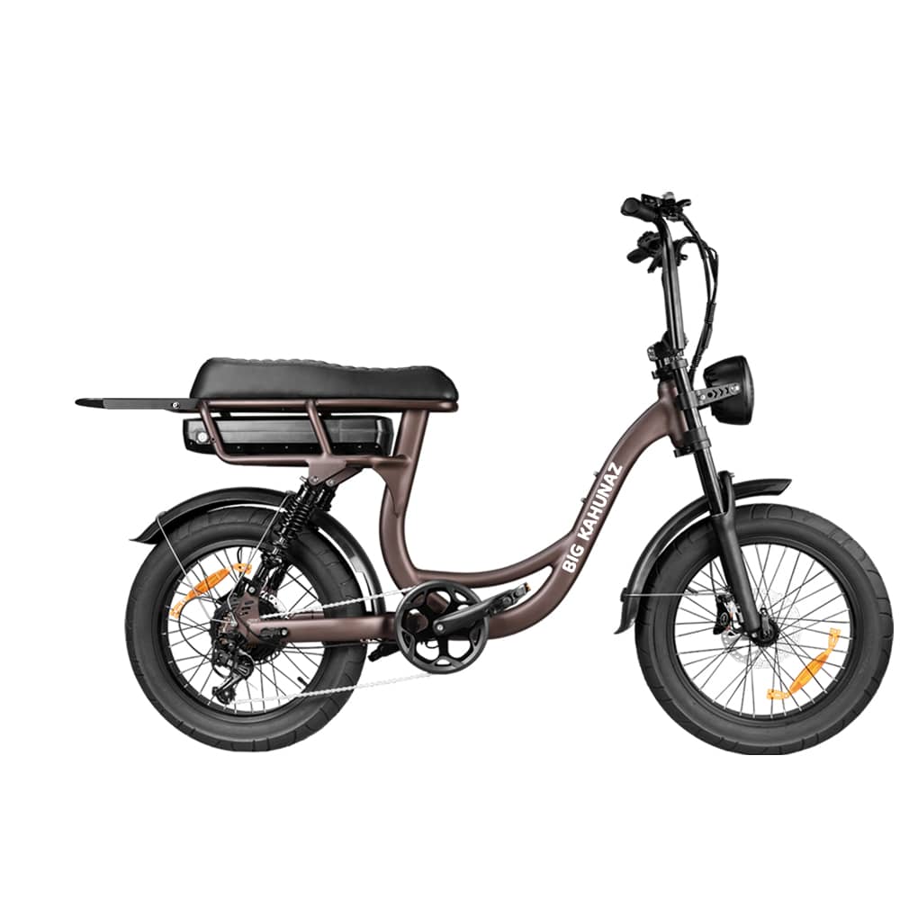 The Alley Cruizer Electric Bike