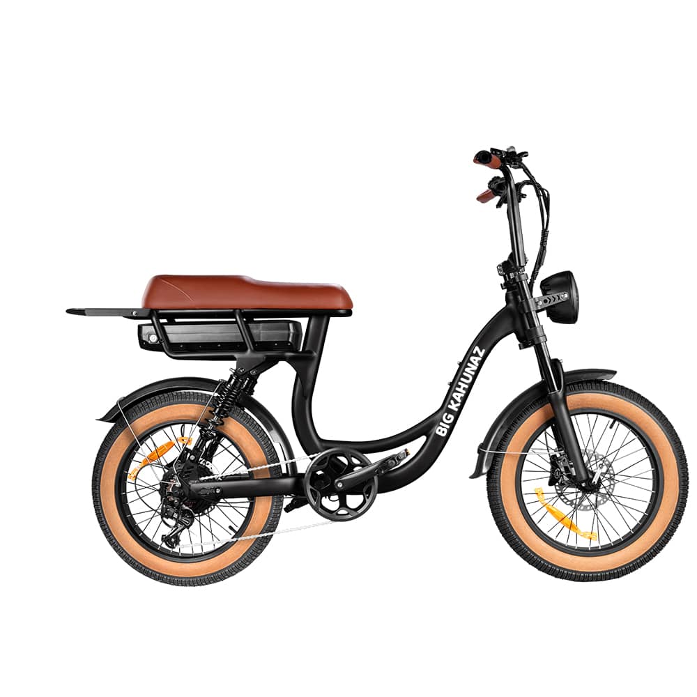 The Alley Cruizer Electric Bike