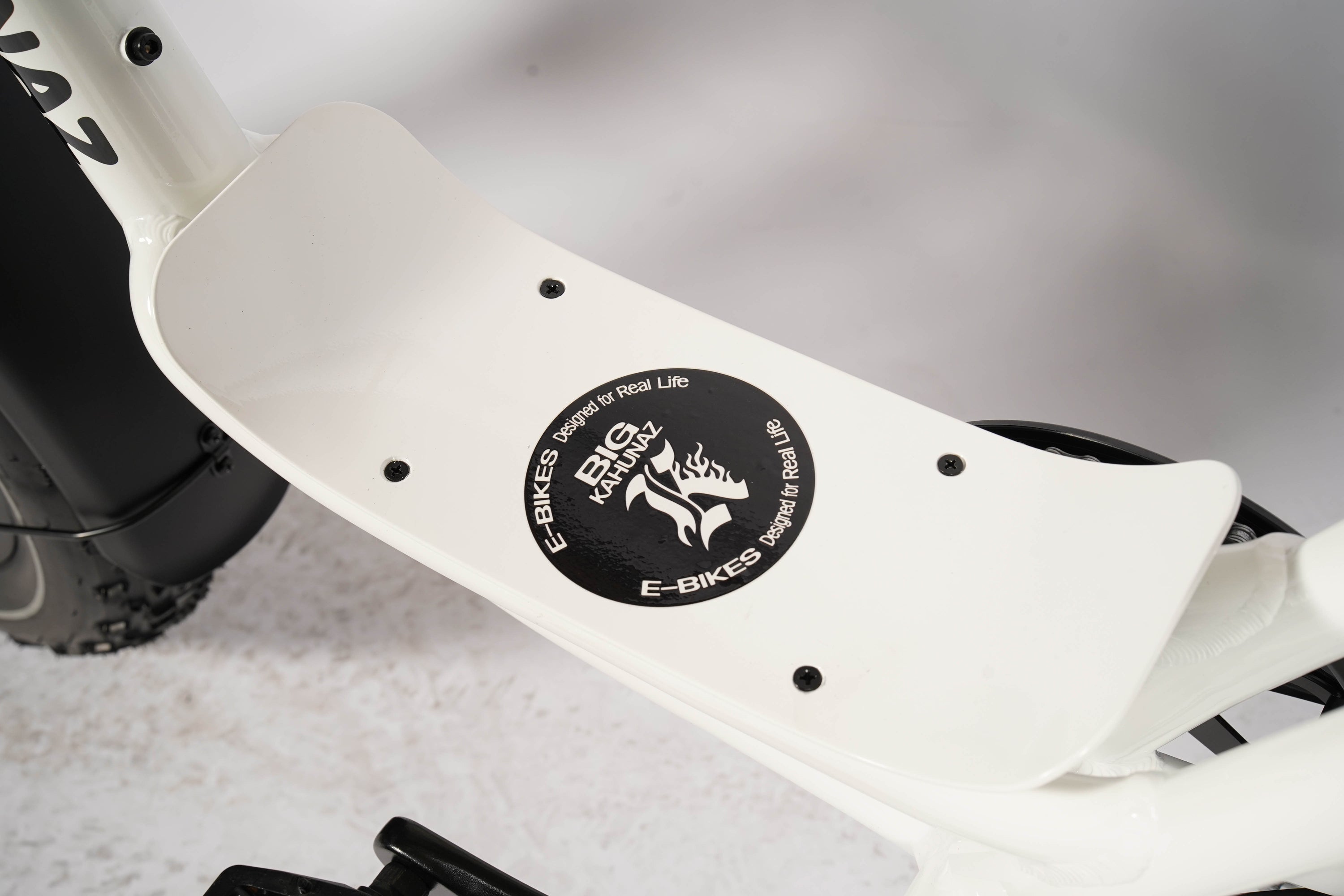 The Caba Cruizer Electric Bike