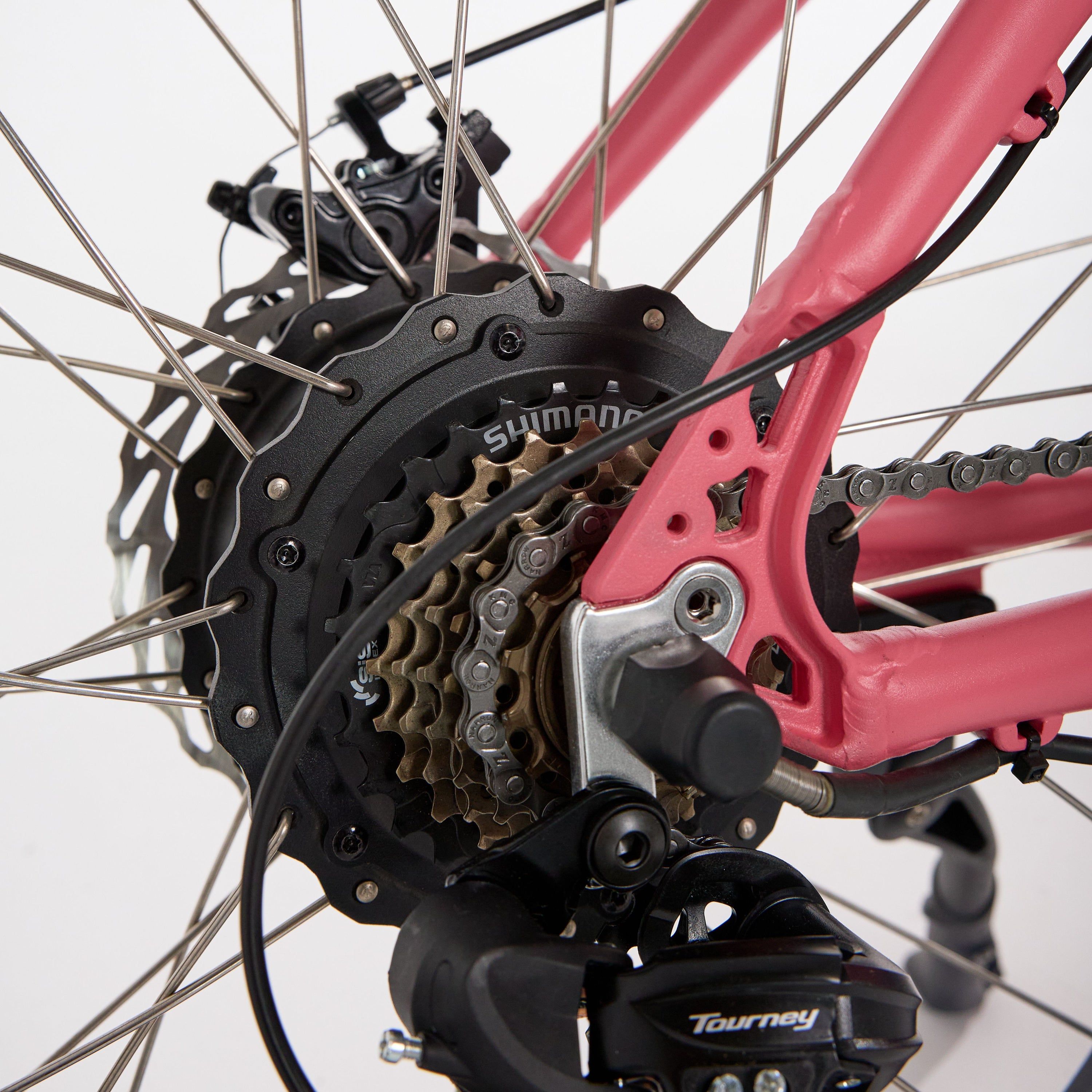 Mermaid Cruizer Electric Bike